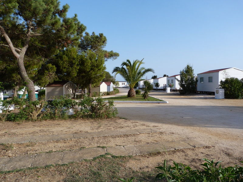 Parque De Campismo Orbitur Sagres Hotell Exteriör bild